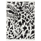 Oiva Toikka Collection ポスター 50x70 cm, Cheetah - Iittala 